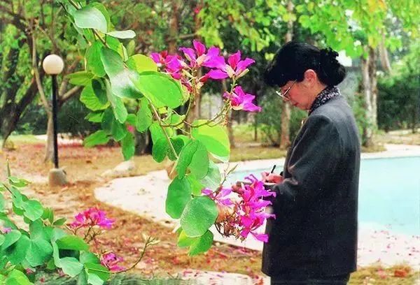 敦煌艺术