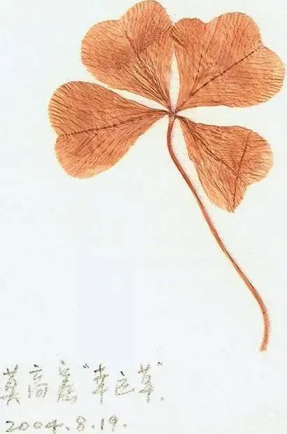 敦煌艺术