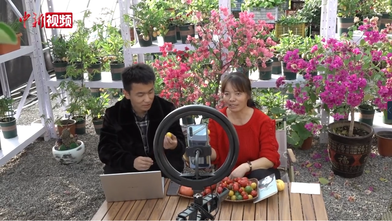 戈壁大棚农产品种植