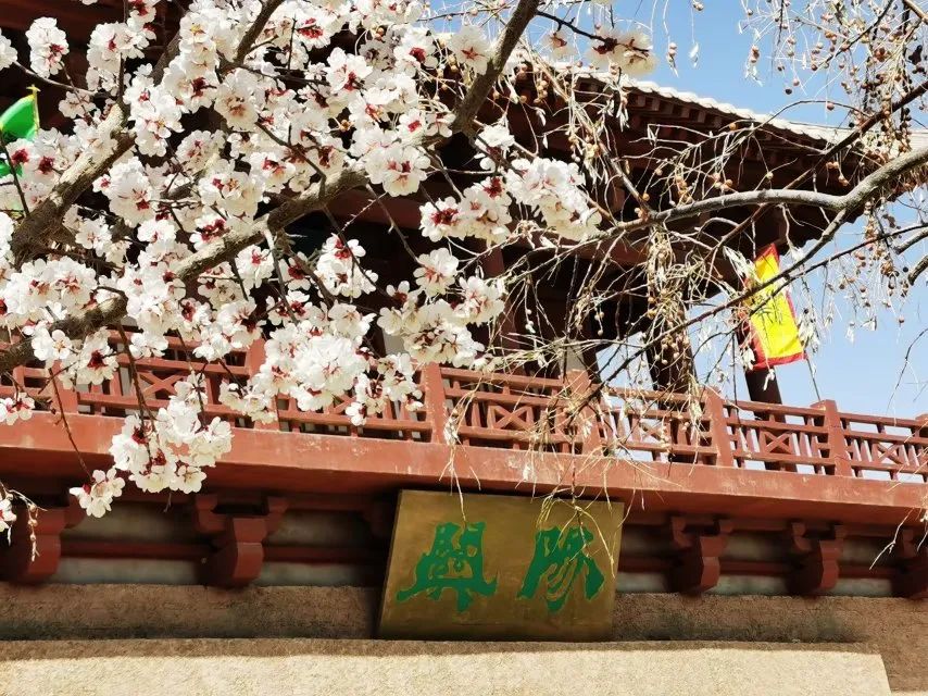 阳关春色