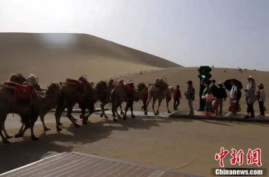 鸣沙山月牙泉骆驼红绿灯